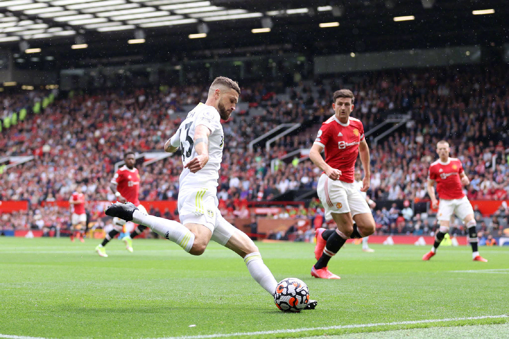 黑成了他们 黑成了他们